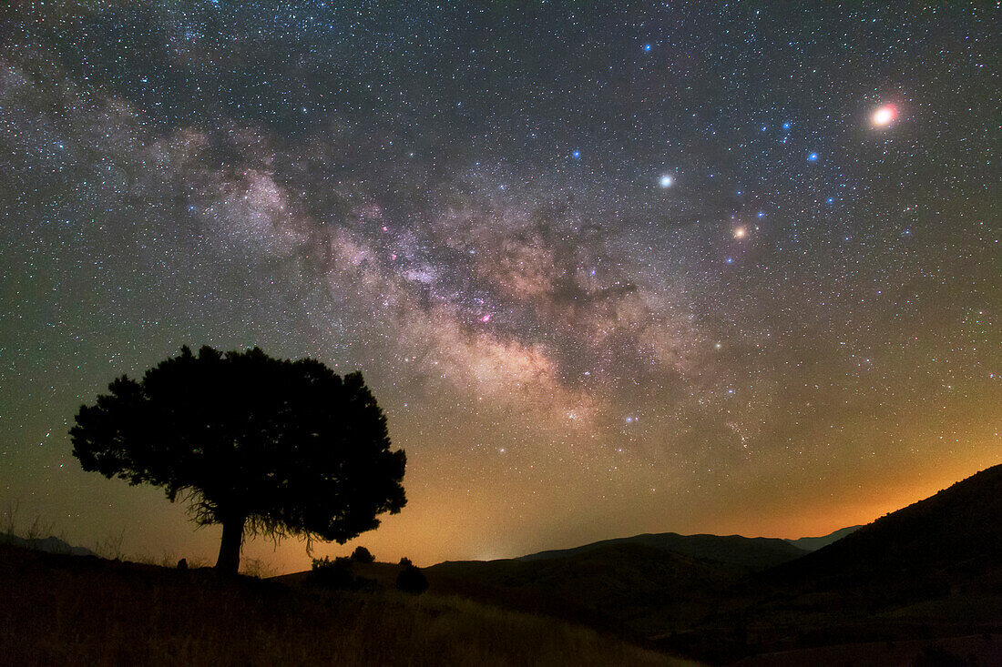 Milky Way, Mars and Saturn over a tree