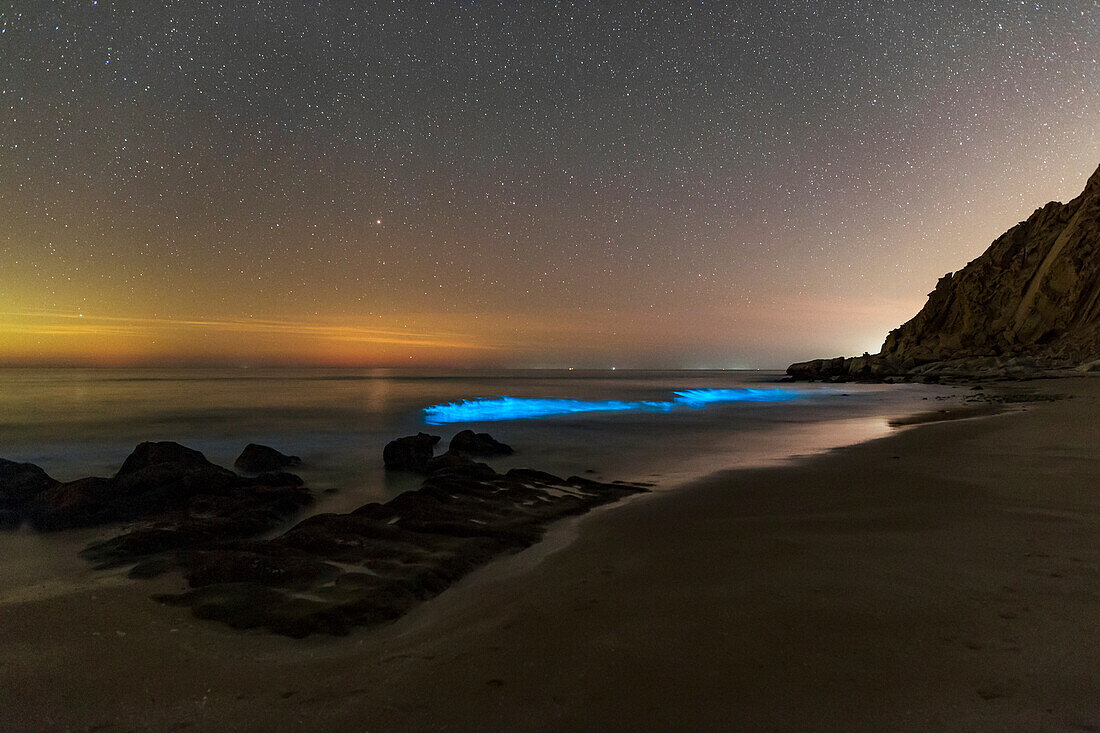 Bioluminescent plankton in Persian Gulf