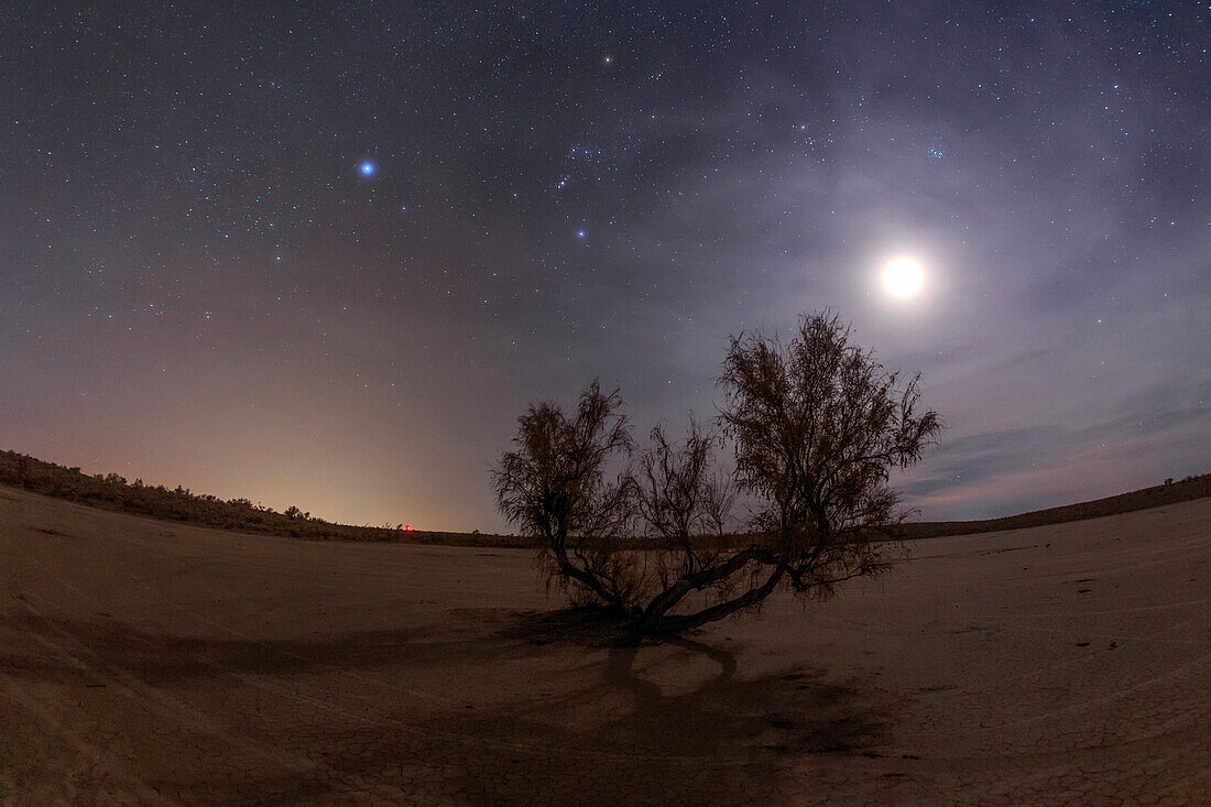 Night sky over desert