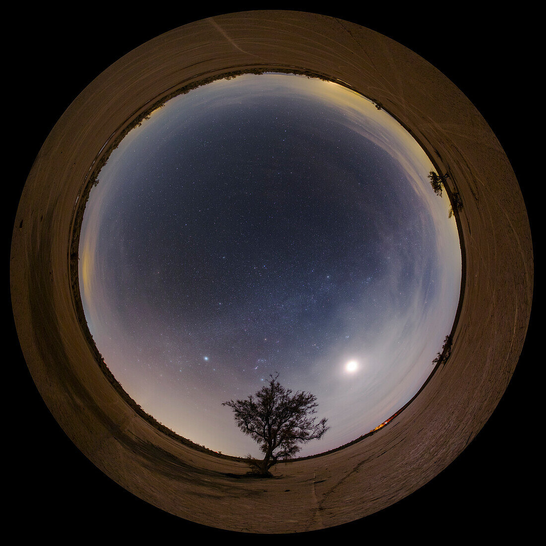 Night sky over desert, 360-degree view