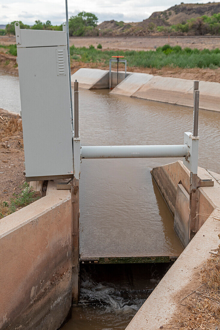 Gate of an irrigation canal