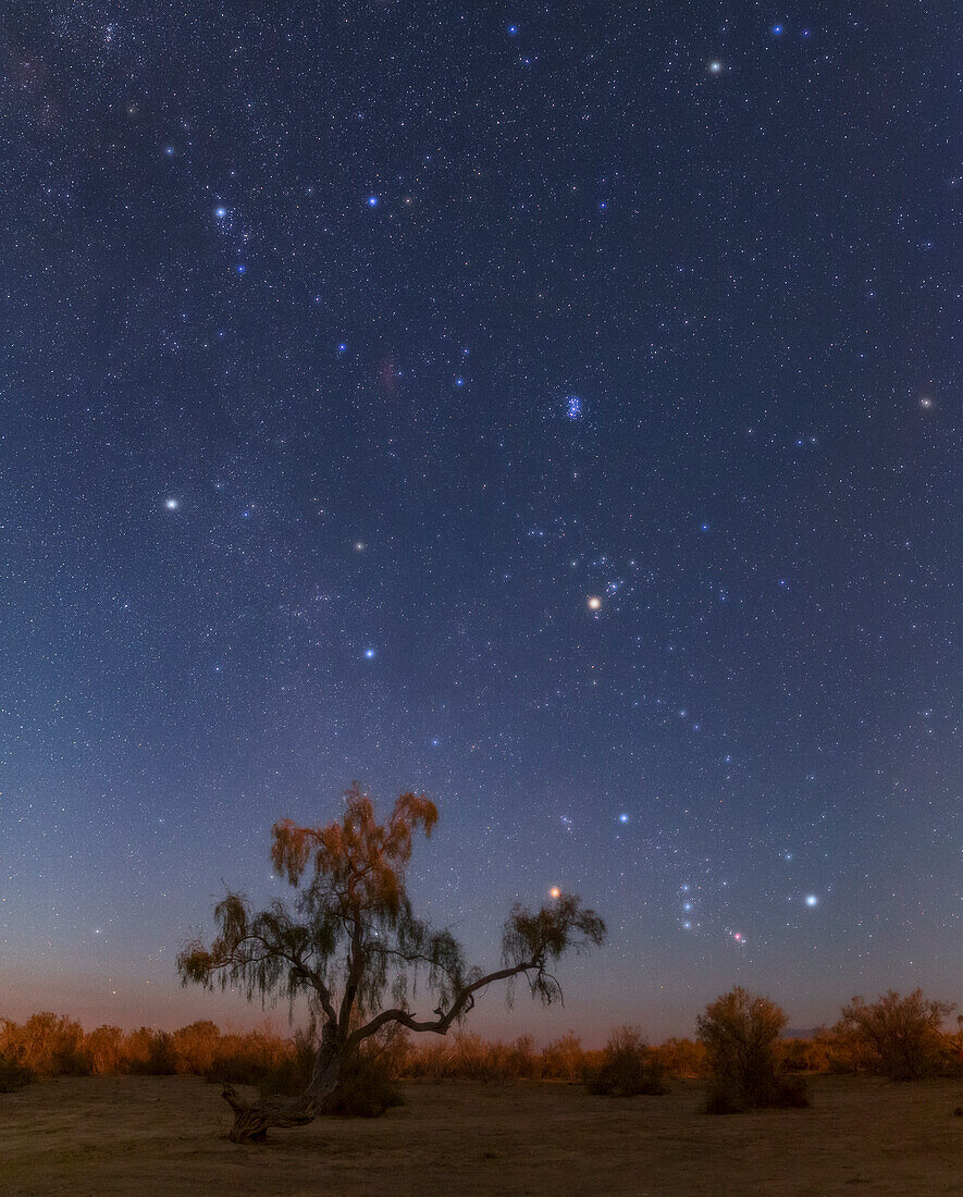 Winter constellation rising at Moonset