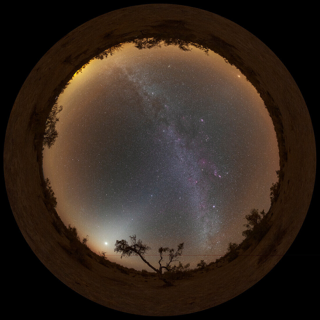 Zodiacal light and Milky Way, 360-degree view