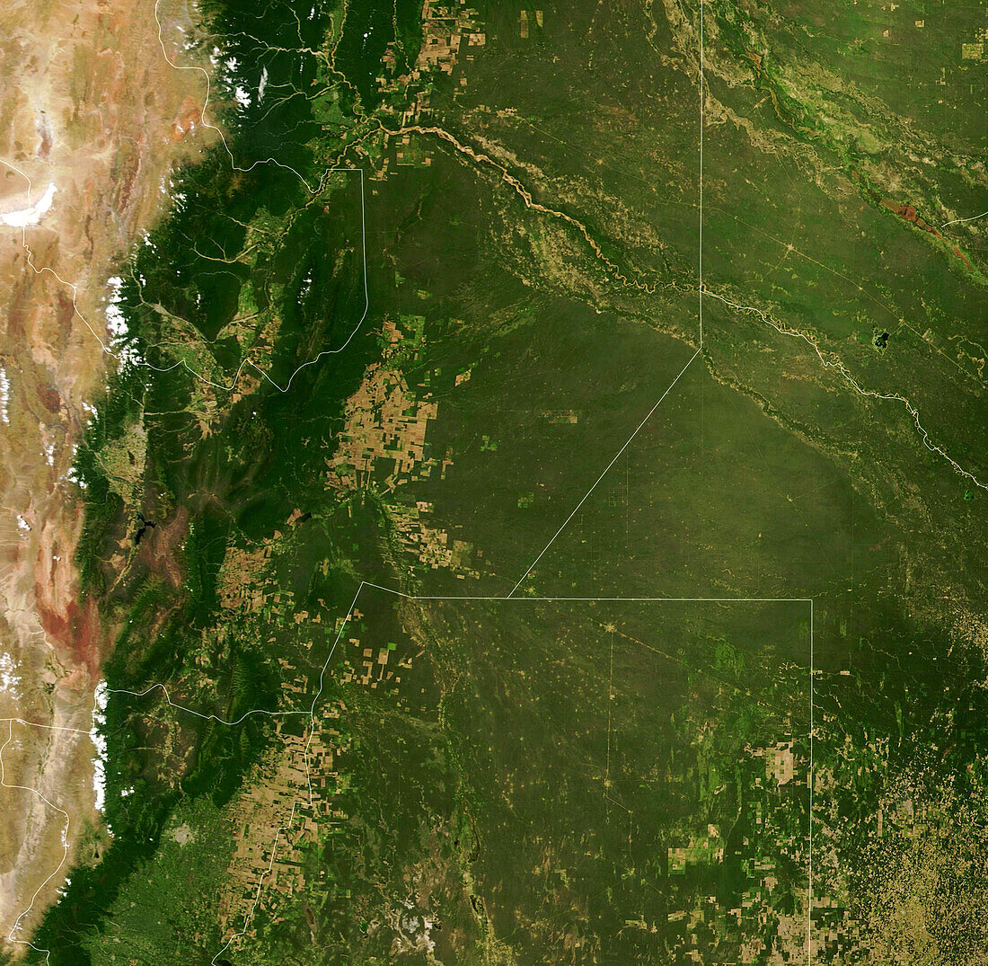 Deforestation in Gran Chaco, Argentina, satellite image