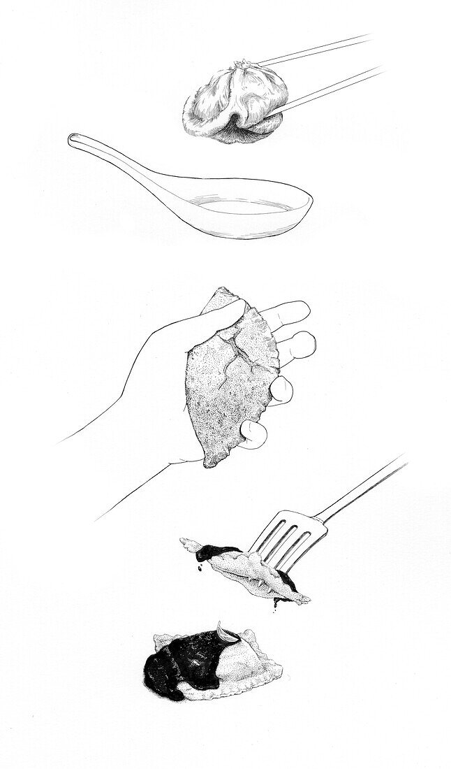 Different cultures' dumplings, illustration