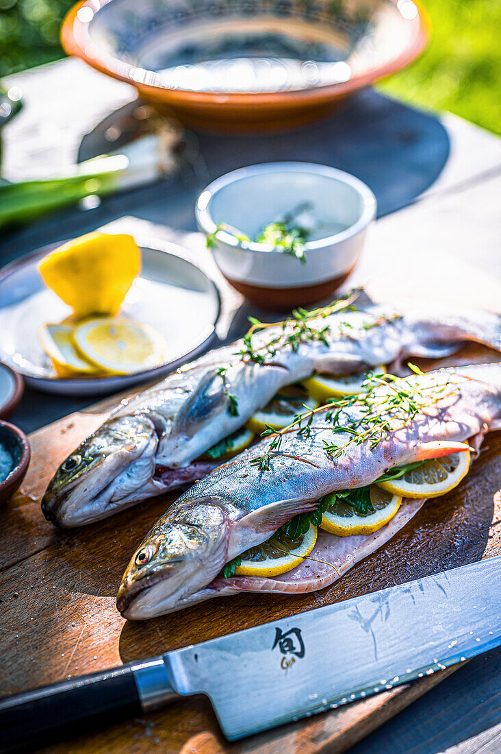 Frische Forelle mit Zitrone und Kräutern für den Grill vorbereitet