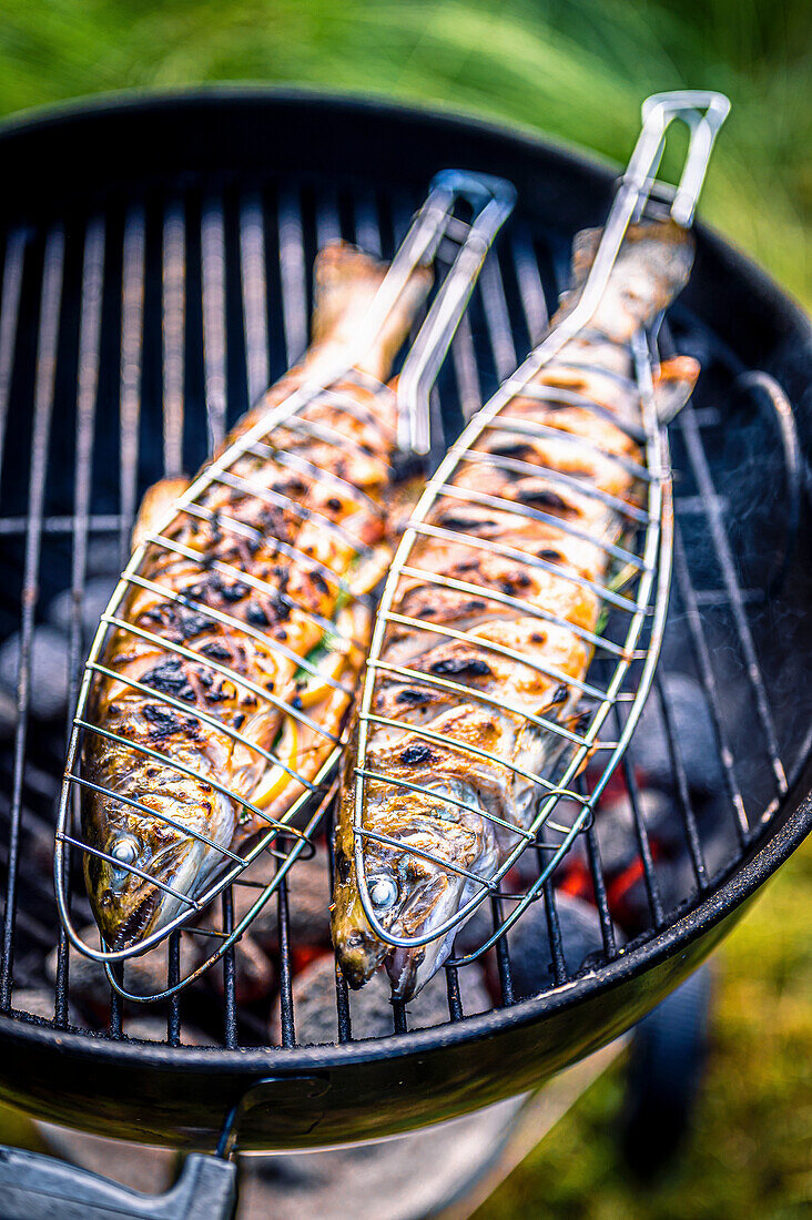 Grilled trout in fish grilling baskets on the barbecue