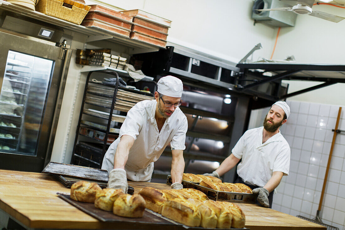 Bakers working in bakery