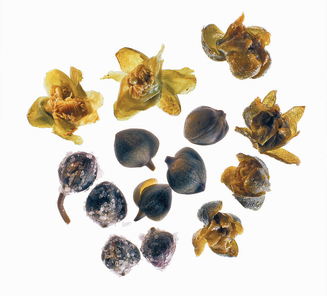 Capers (flower buds)