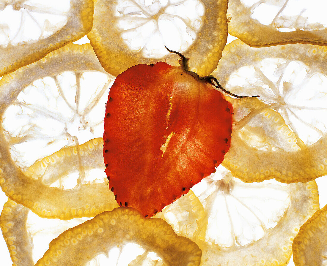 Strawberry and lemon slices in translucent light