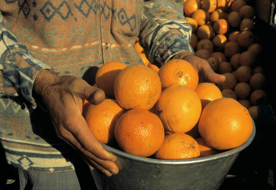 Verkäufer hält Schale mit Navel-Orangen (Türkei)