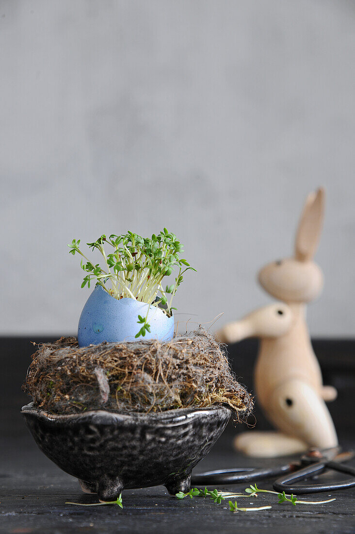 Blue colored Easter eggshell with cress and wooden rabbit