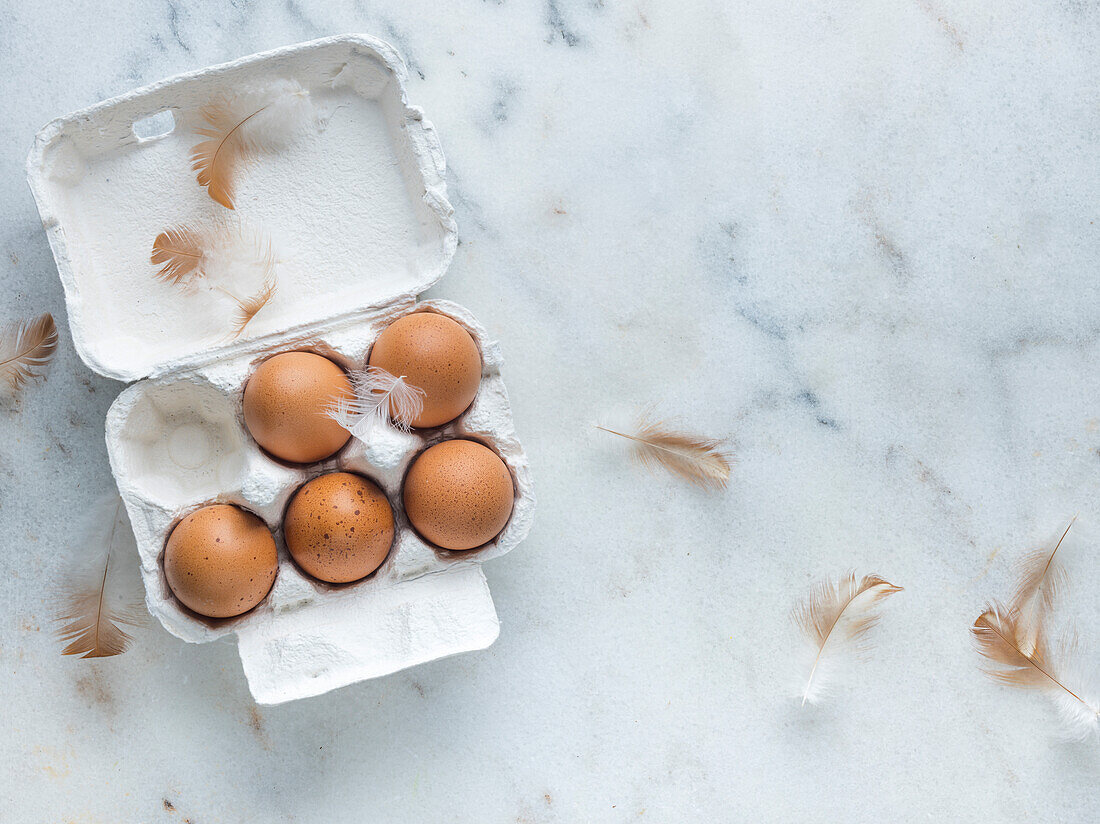 Frische Eier mit Federn im Eierkarton