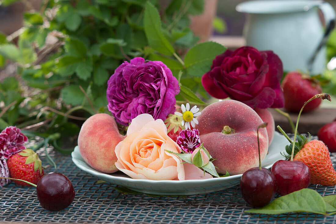 Duftende Rosenblüten, Pfirsiche, Nelke und Kamillenblüte als Tellerdekoration, Süßkirschen und Erdbeeren