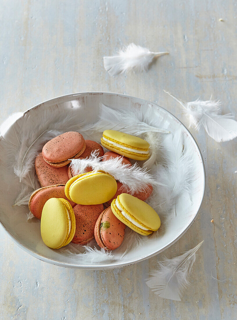 Macarons mit Federn in einer Schale