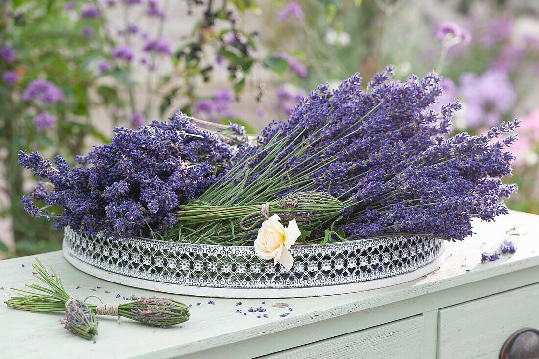 Lavender blossoms and a rose blossom on a tray
