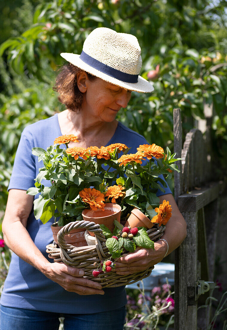 Woman carrying basket with zinnias in clay pots