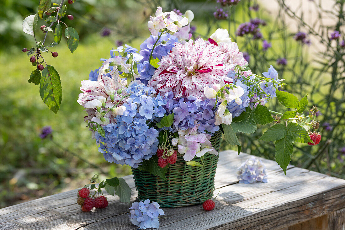 Bouquet of hydrangea flowers, dahlia 'Bright Diamond', crownvetch, and raspberries in a basket