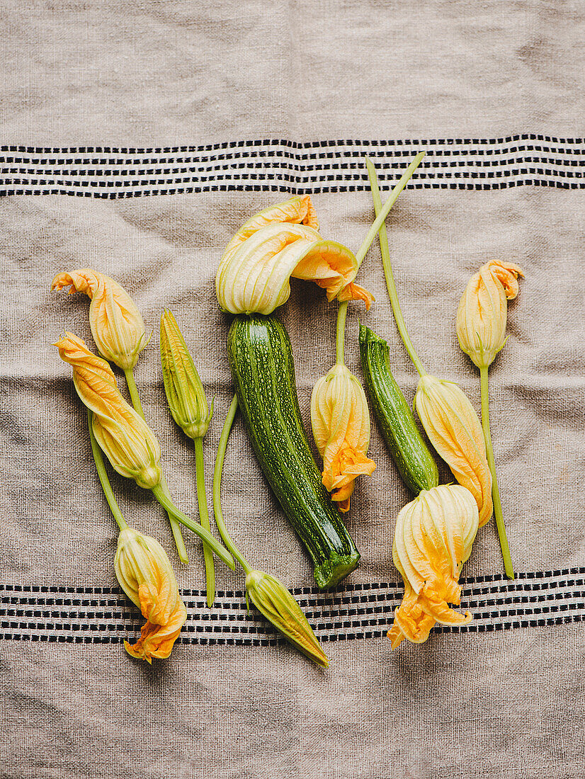 Frische Zucchiniblüten