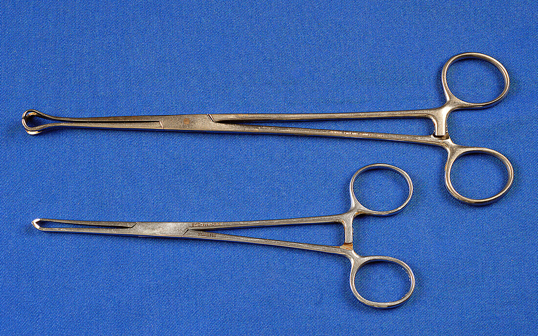 Babcock forceps and Allis clamp