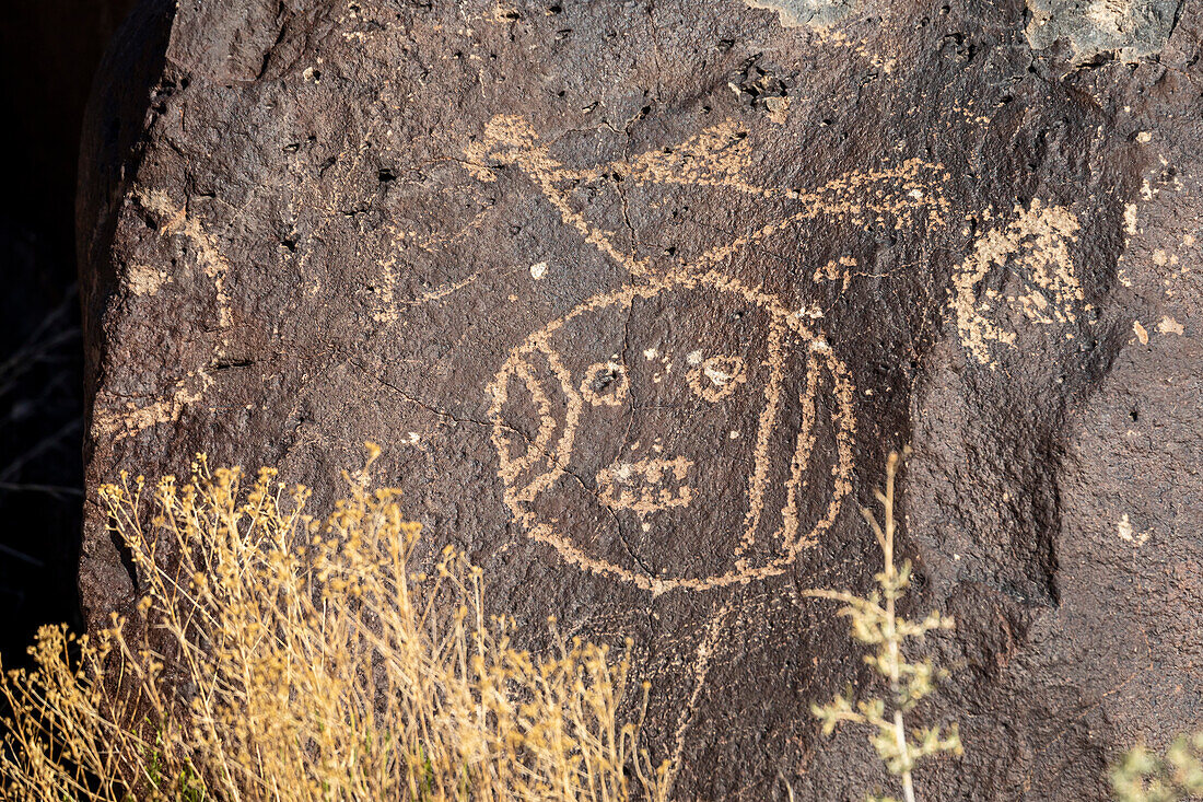 Petroglyph National Monument, New Mexico, USA