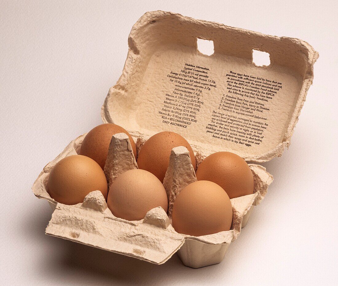 Paper mache egg box and six brown free range chicken eggs