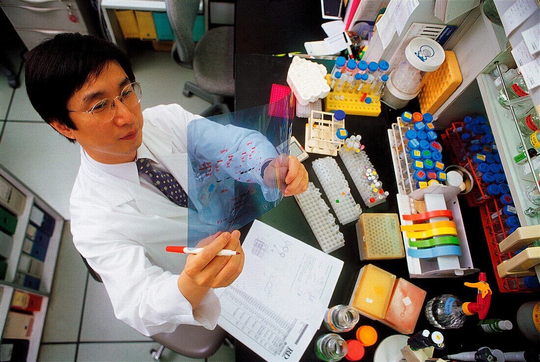 Student researcher working in a laboratory