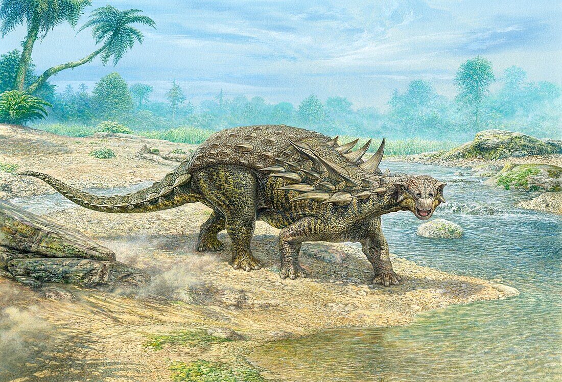 Polacanthus dinosaur, illustration