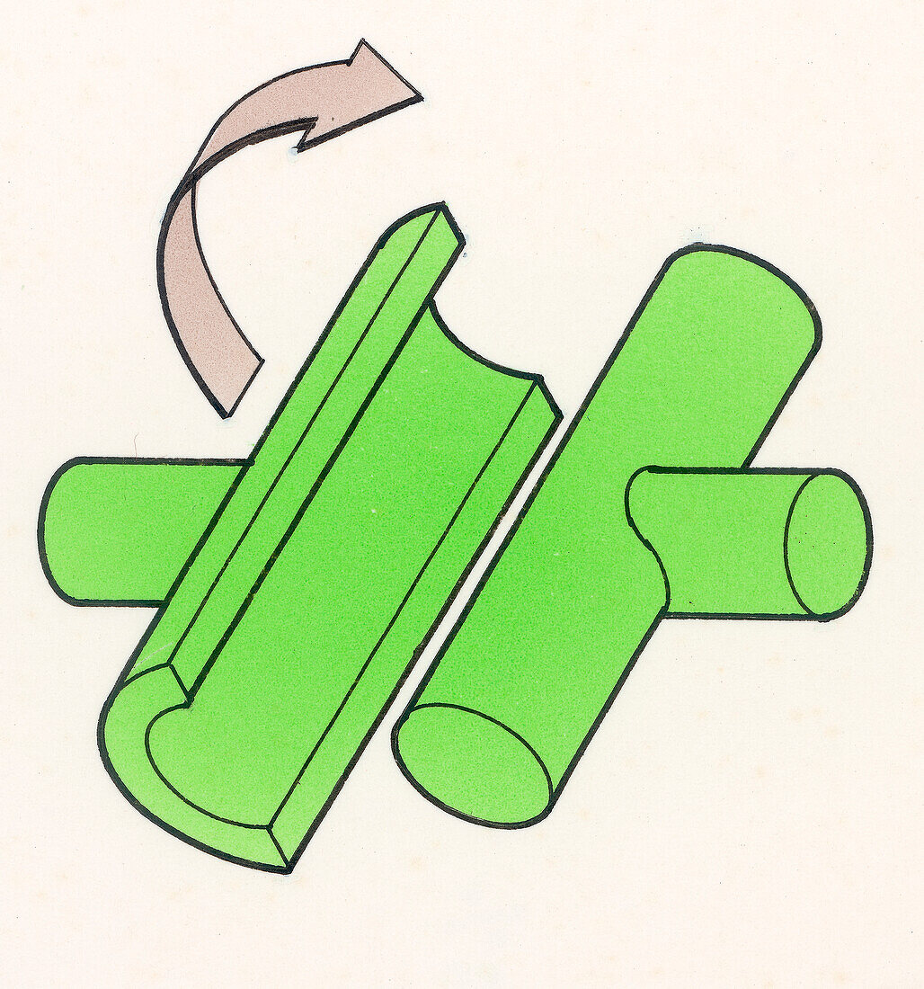 Hinge joint, illustration