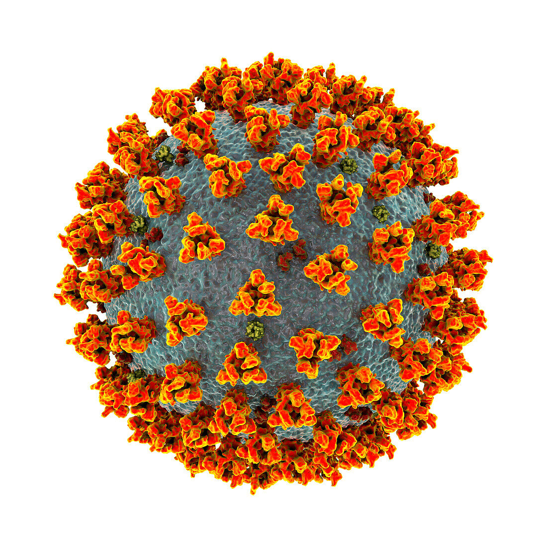 Covid-19 coronavirus particles, illustration