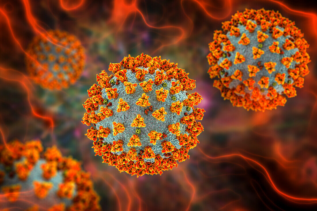 Covid-19 coronavirus particles, illustration