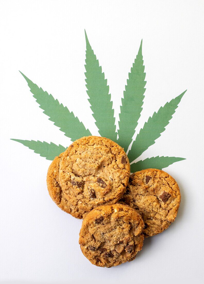 Cannabis cookies, conceptual image
