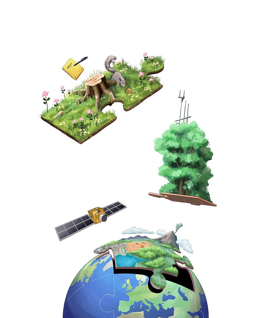 Environmental research, conceptual illustration