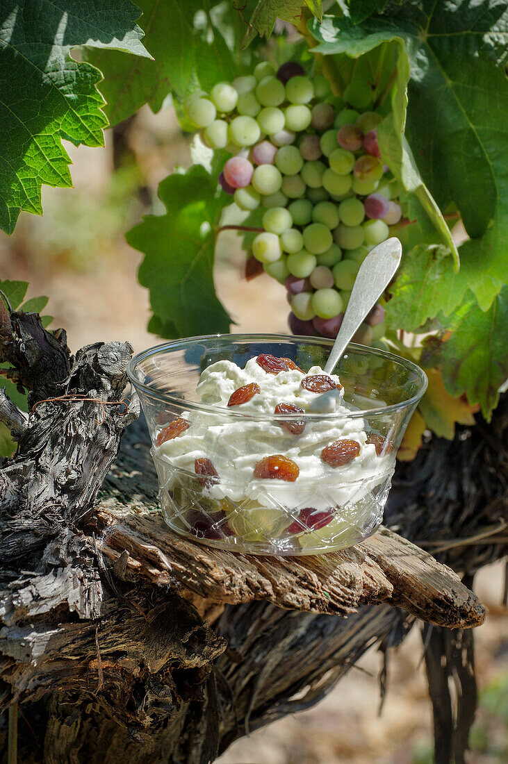 Curd cream with grapes and sultanas