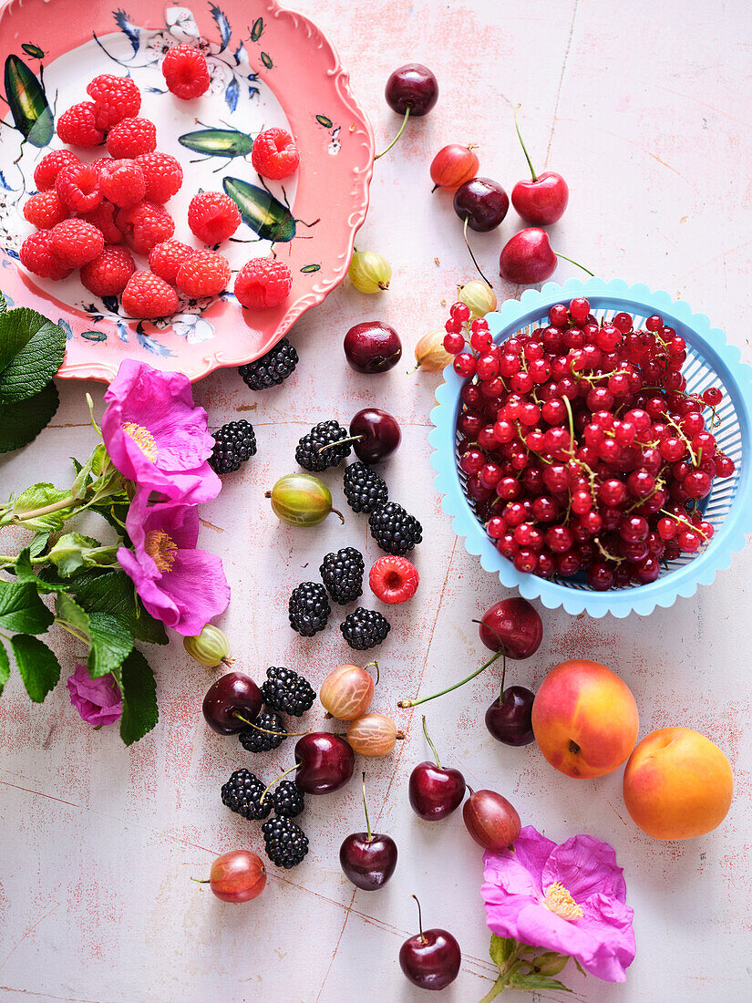 Fresh summer fruits - berries, cherries and apricots