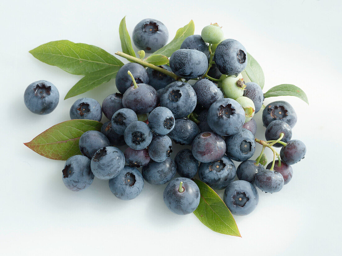 Fresh blueberries