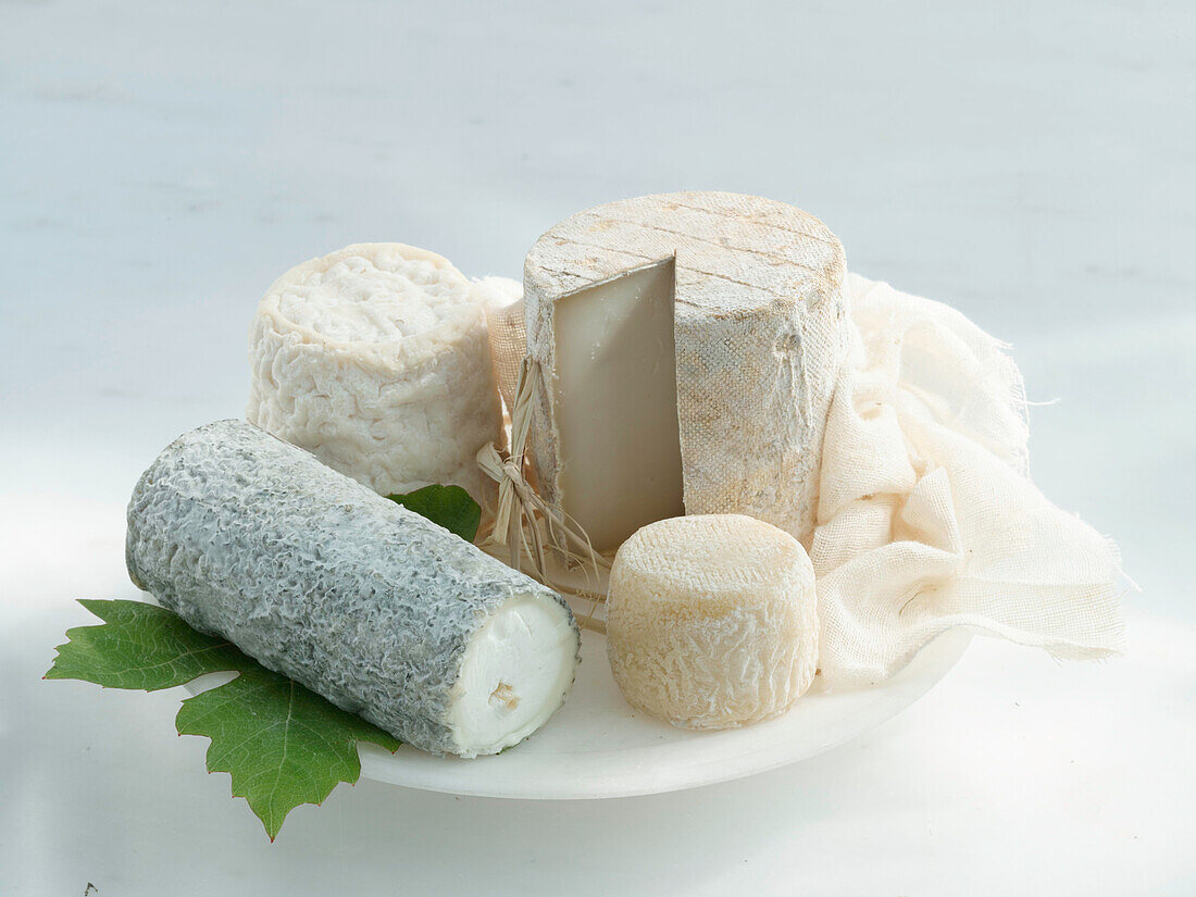 Four different kinds of goat’s cheese