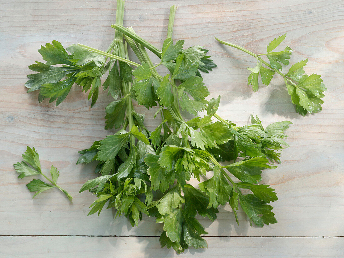 Celery leaves