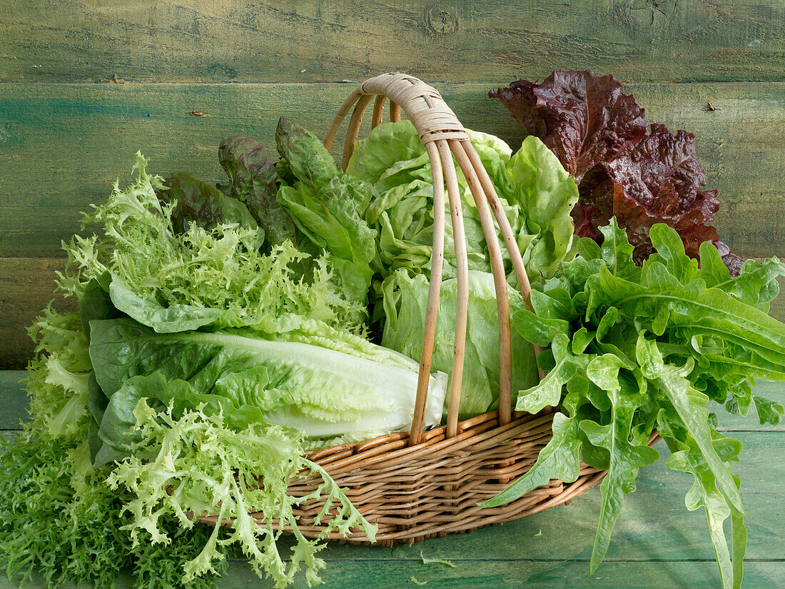 Korb mit verschiedenen Salaten - Eisberg, Romana, Eichblatt