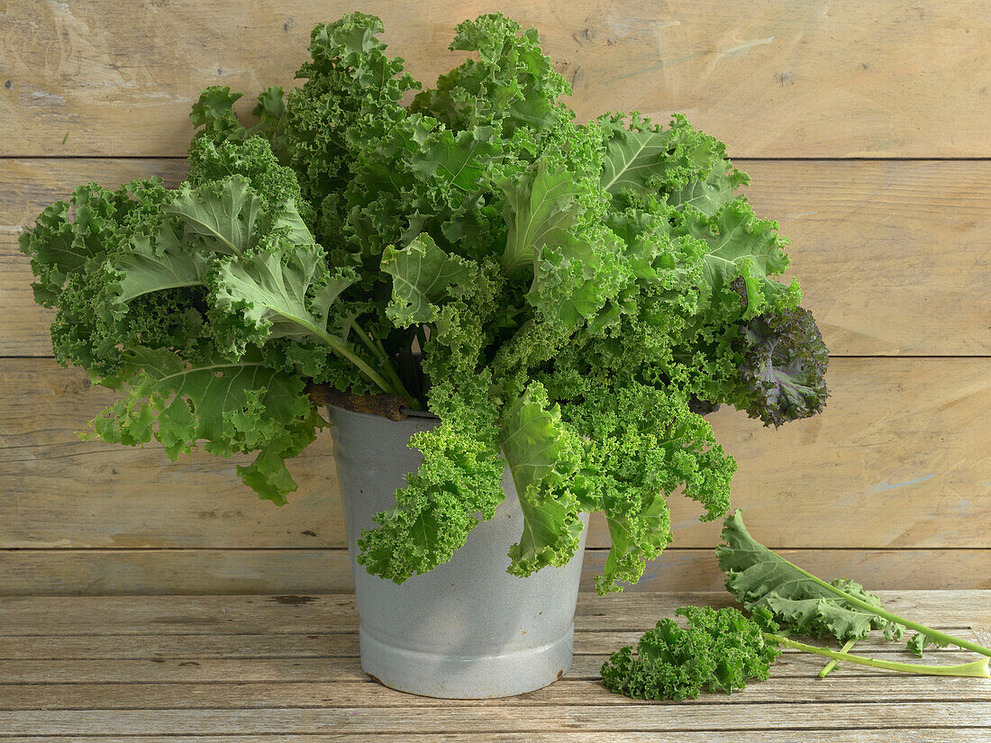 Kale cabbage leaf