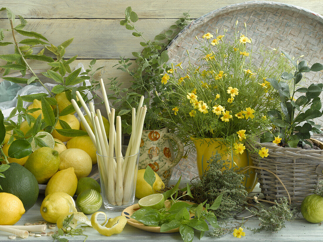 Zitronen, Limonen und Kräuter mit Zitronenaroma
