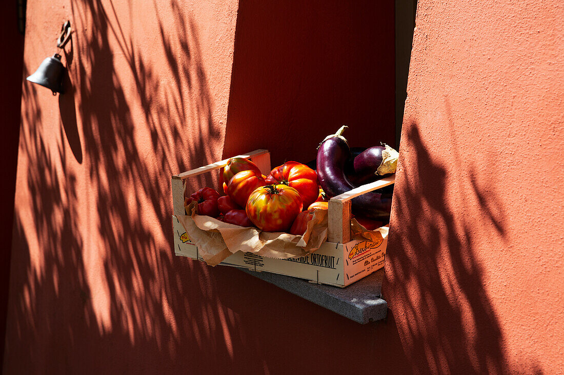 Kiste mit frisch geernteten Auberginen und Tomaten in Fensternische