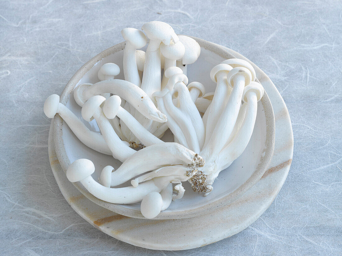 White shimeji mushroom