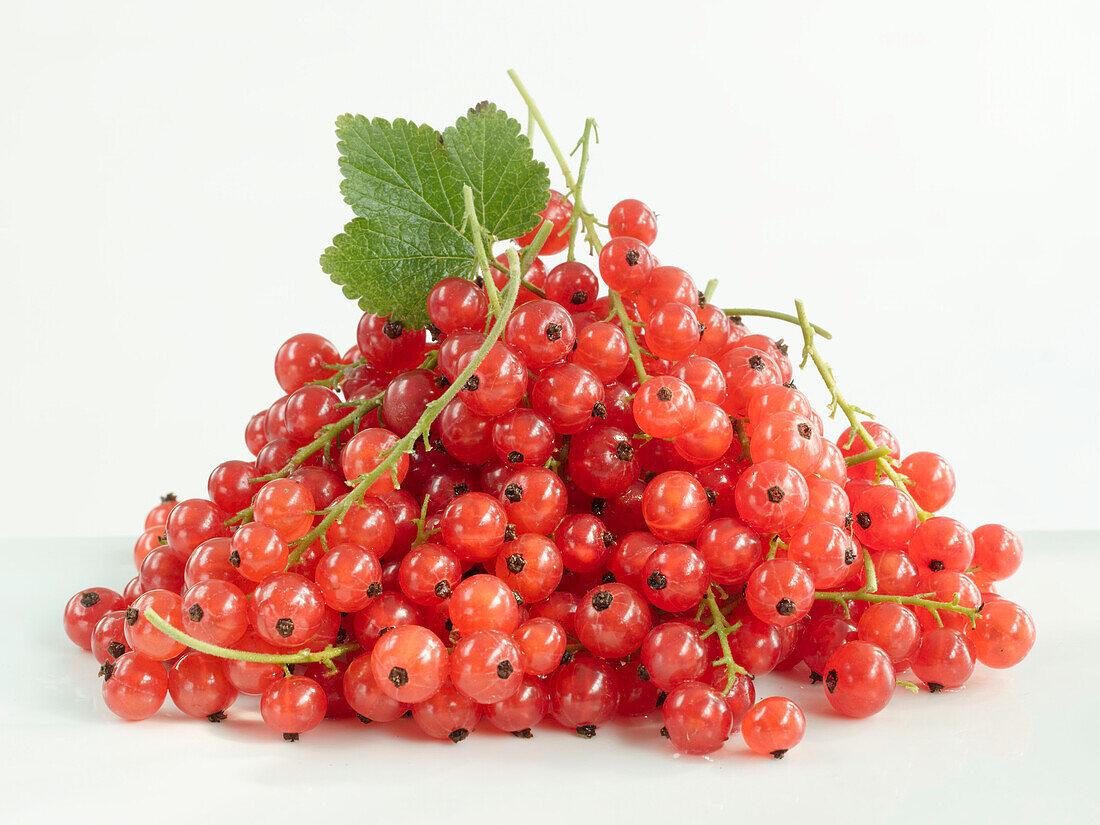 Red Currants