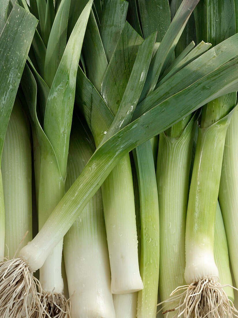 Leeks (full picture)