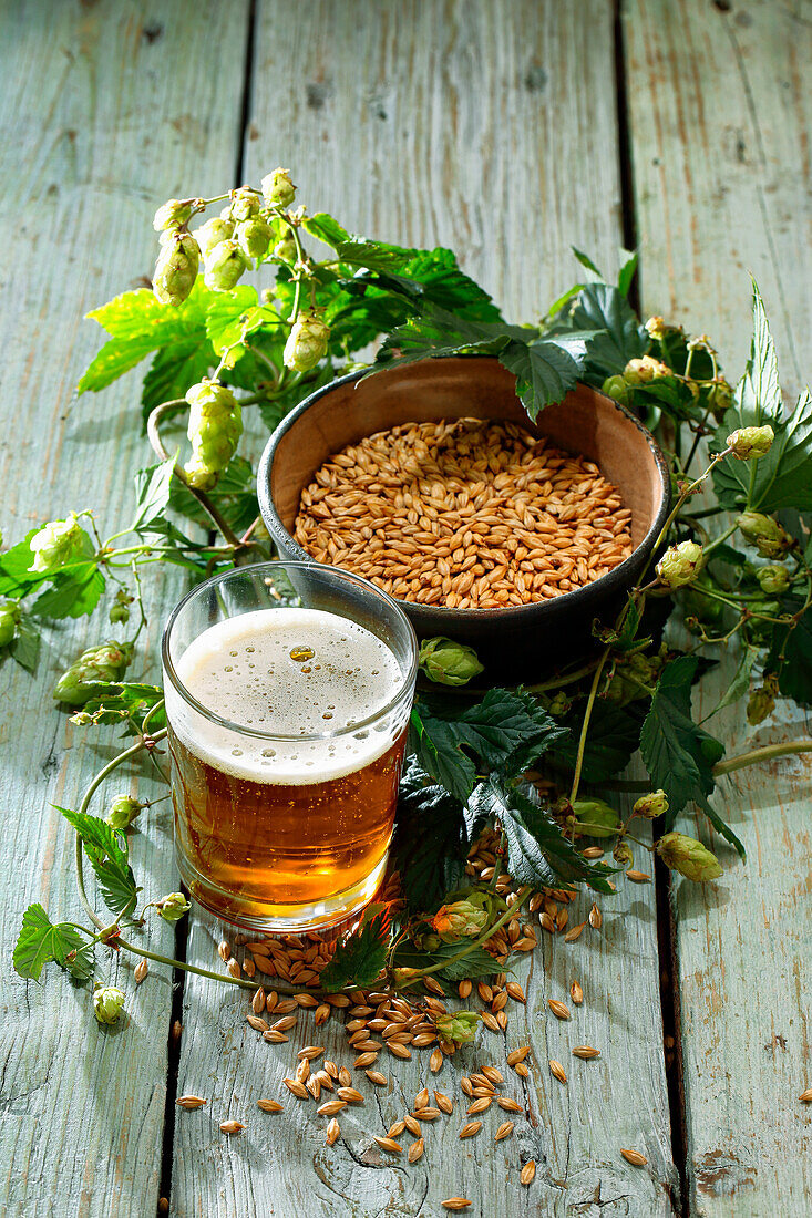 Hops, malt, and a glass of beer