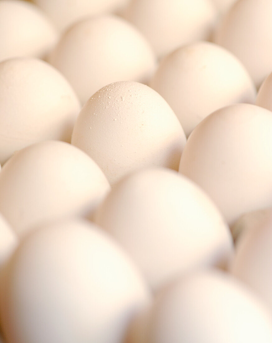 Weiße Eier (bildfüllend)
