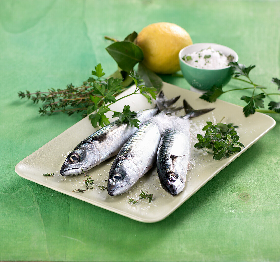 Fresh mackerel with salt and herbs