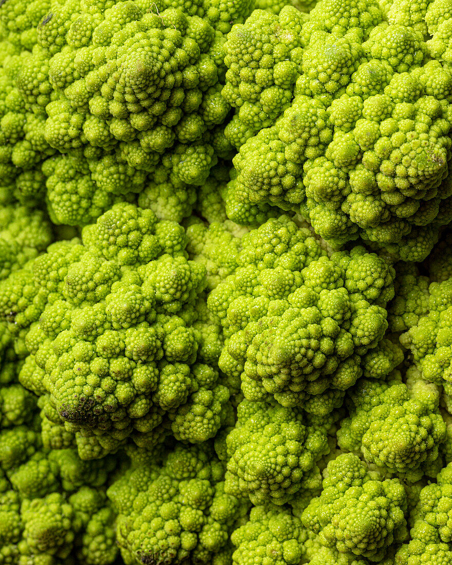 A closeup view of a head of romanesco, highlighting the intricate details and texture