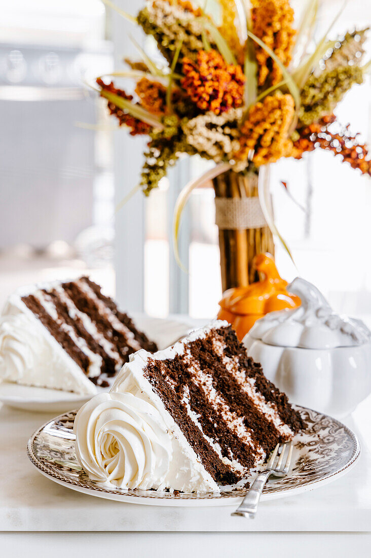 Chocolate vanilla layer cake on a plate